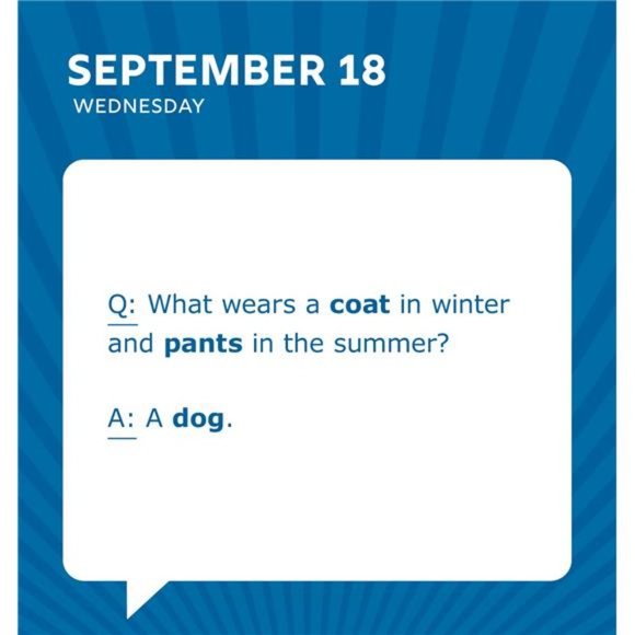 Kitchen Gifts For Dad 224 Dad Jokes Boxed Calenda Dads Ice Cream